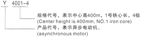 西安泰富西玛Y系列(H355-1000)高压YKS4505-6三相异步电机型号说明