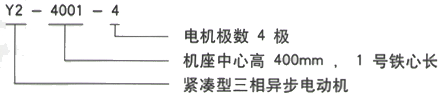 YR系列(H355-1000)高压YKS4505-6三相异步电机西安西玛电机型号说明